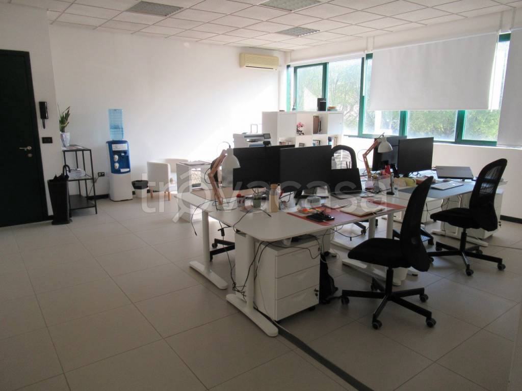 immagine annuncio 3 di 13