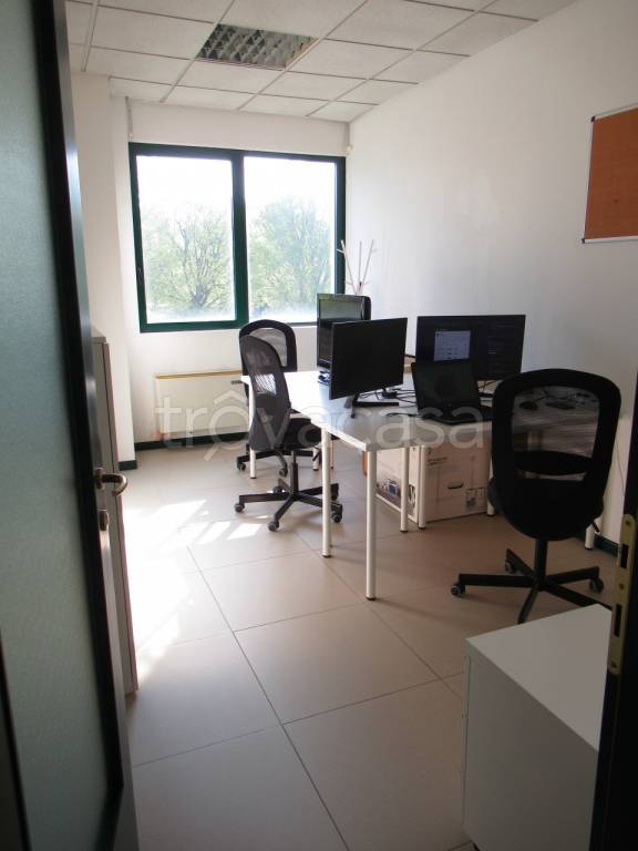 immagine annuncio 11 di 13