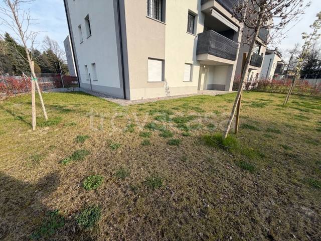 immagine annuncio 6 di 12