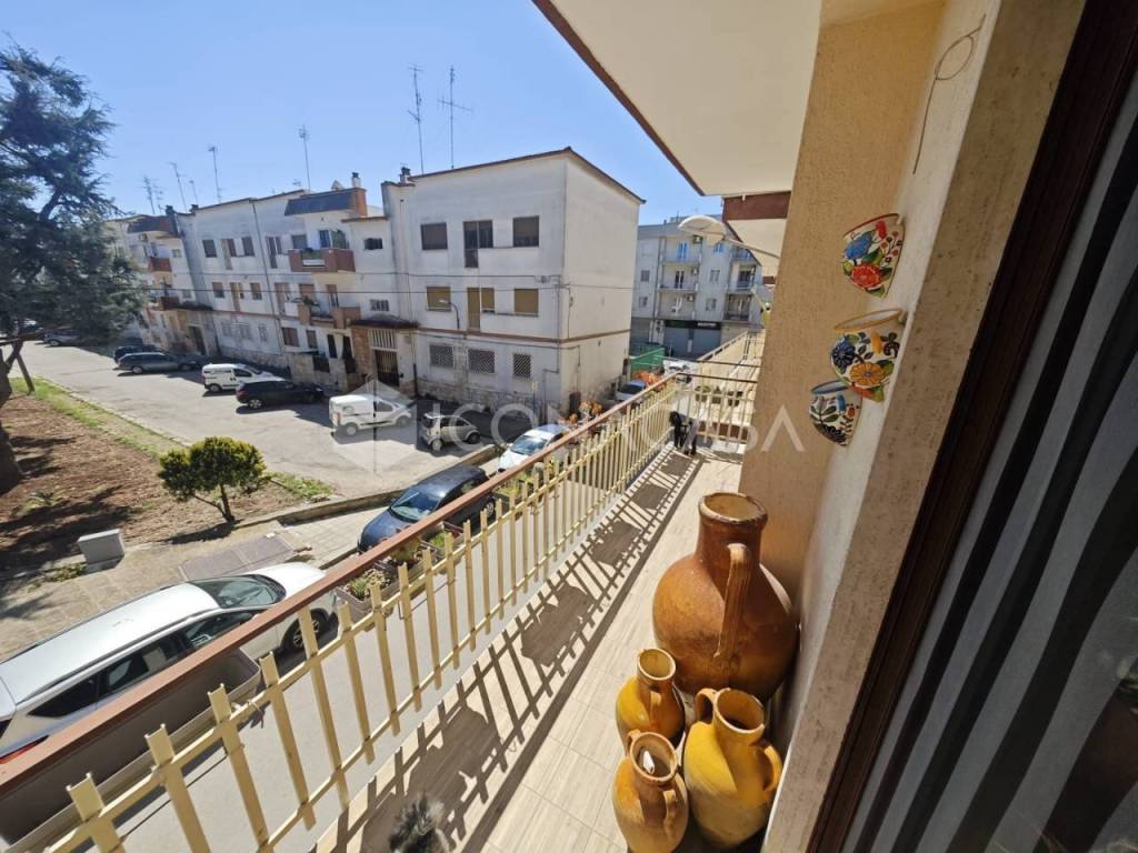 immagine annuncio 6 di 14