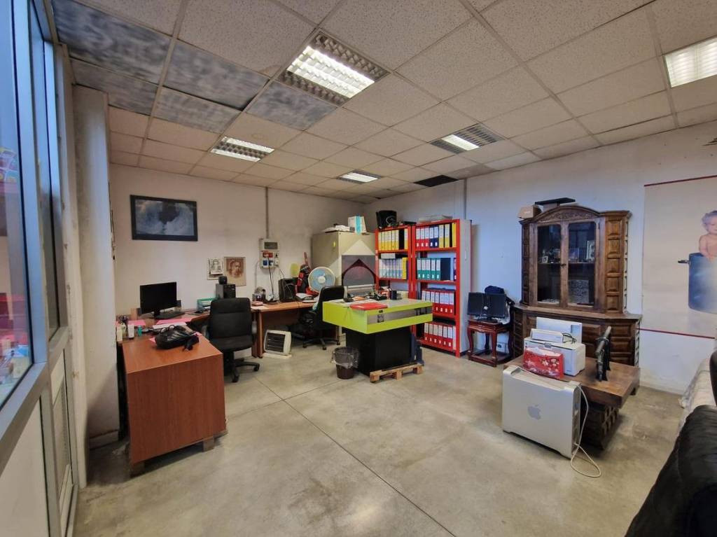 immagine annuncio 14 di 15