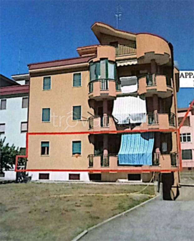 immagine annuncio 1 di 11