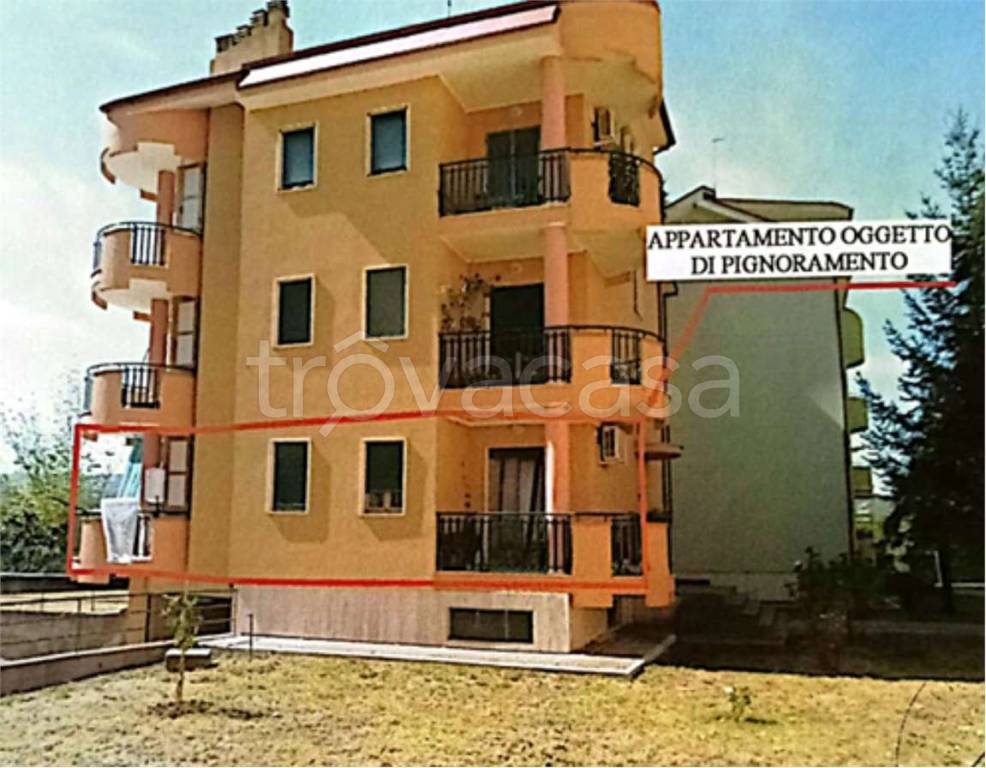 immagine annuncio 9 di 11