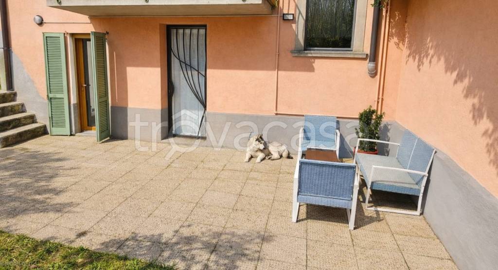 immagine annuncio 3 di 12