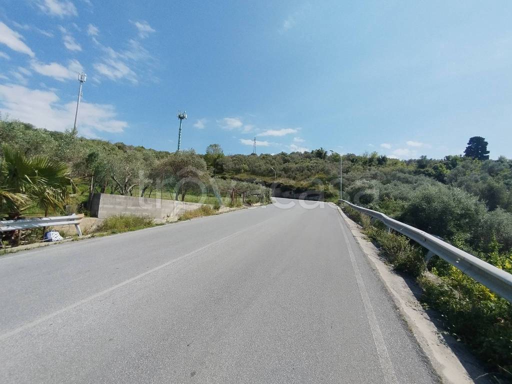 immagine annuncio 6 di 14