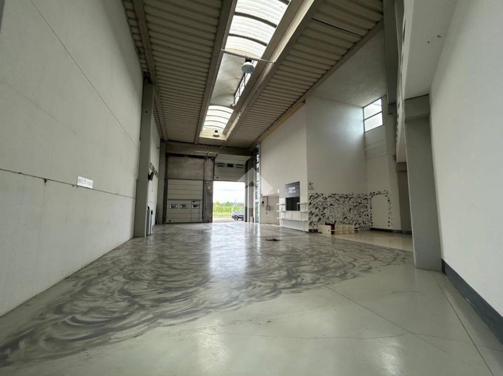 immagine annuncio 6 di 15
