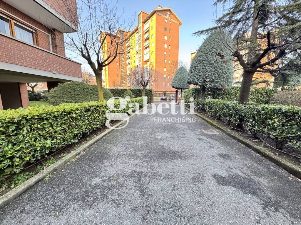 immagine annuncio 2 di 14