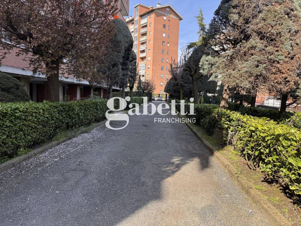 immagine annuncio 7 di 14