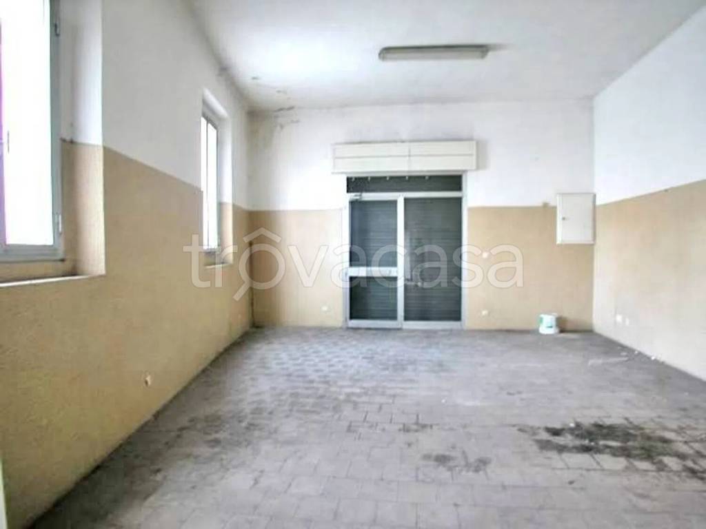 immagine annuncio 2 di 9