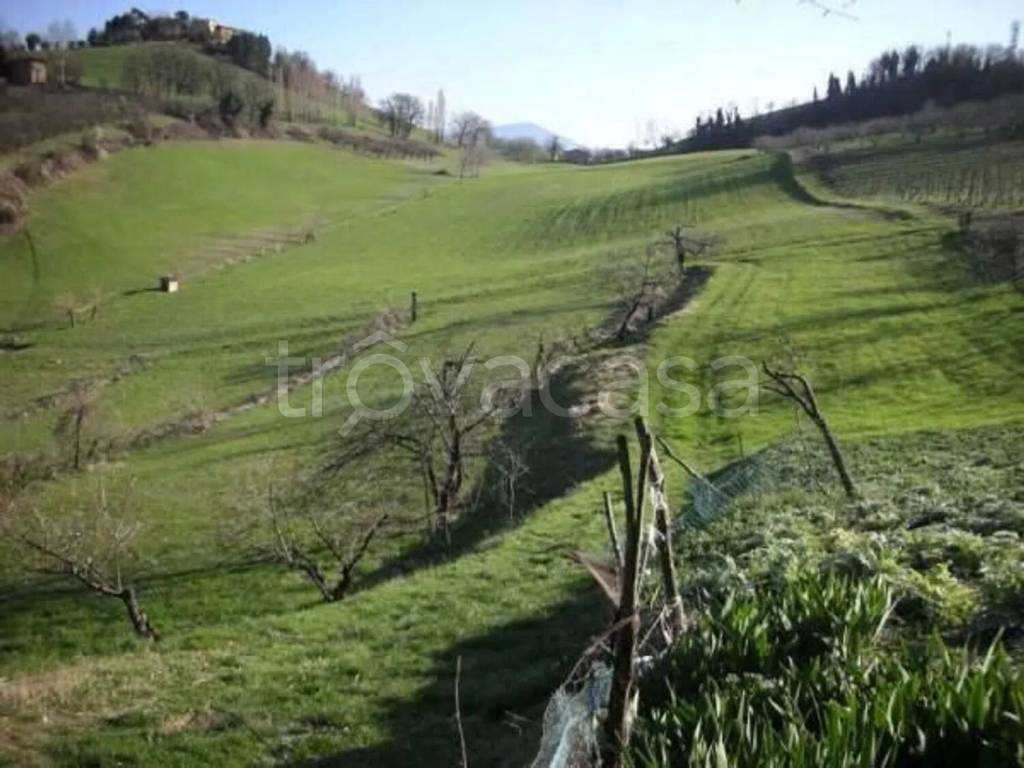 immagine annuncio 5 di 6