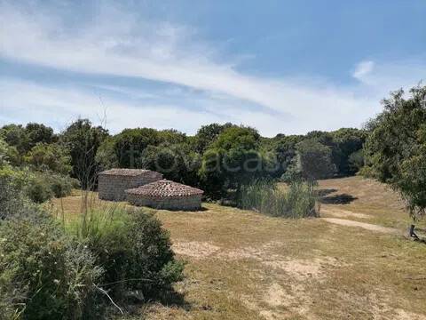 immagine annuncio 10 di 13