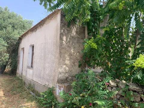 immagine annuncio 6 di 12