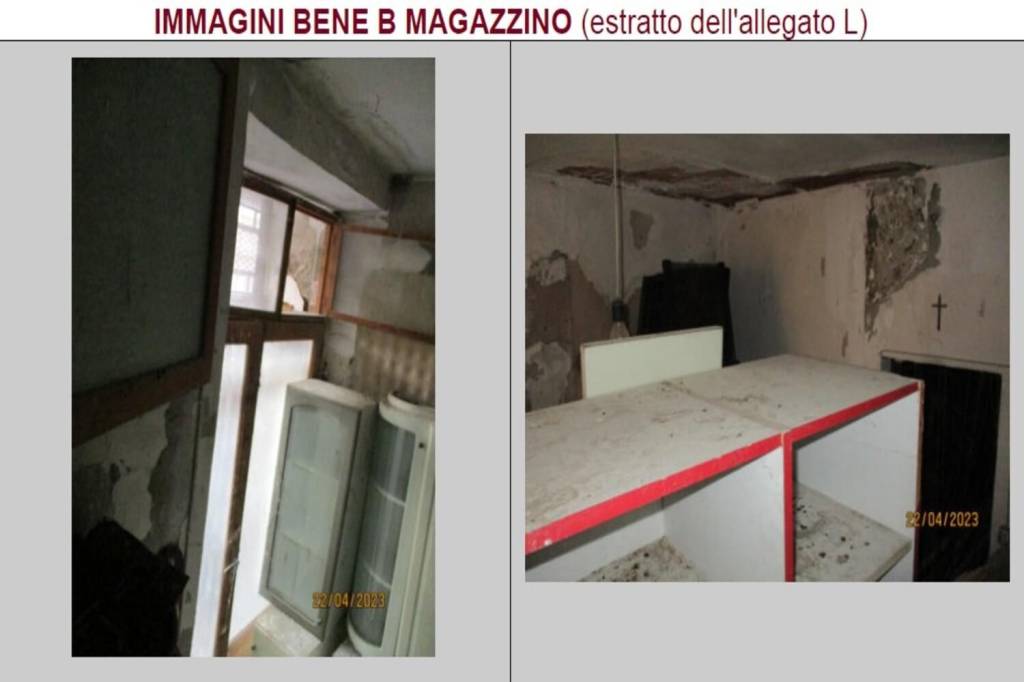 immagine annuncio 3 di 14