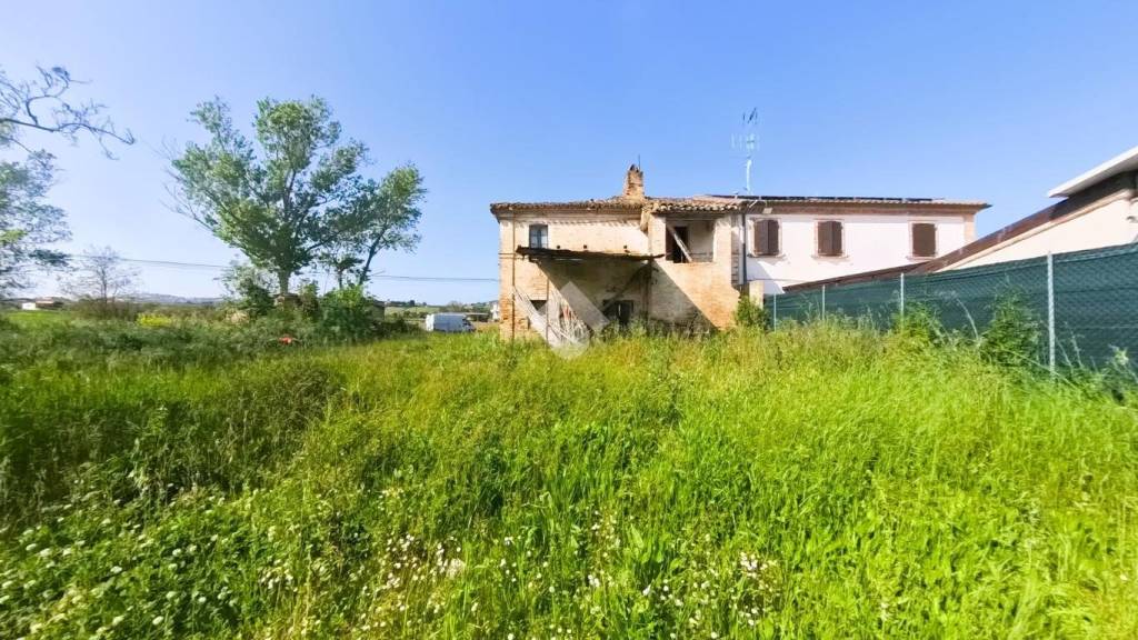 immagine annuncio 4 di 12