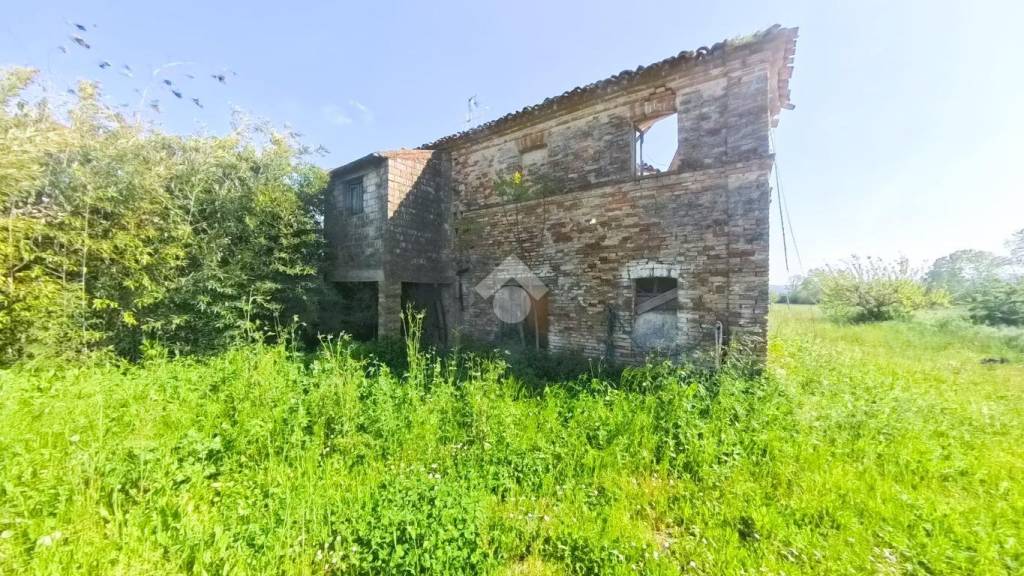 immagine annuncio 6 di 12