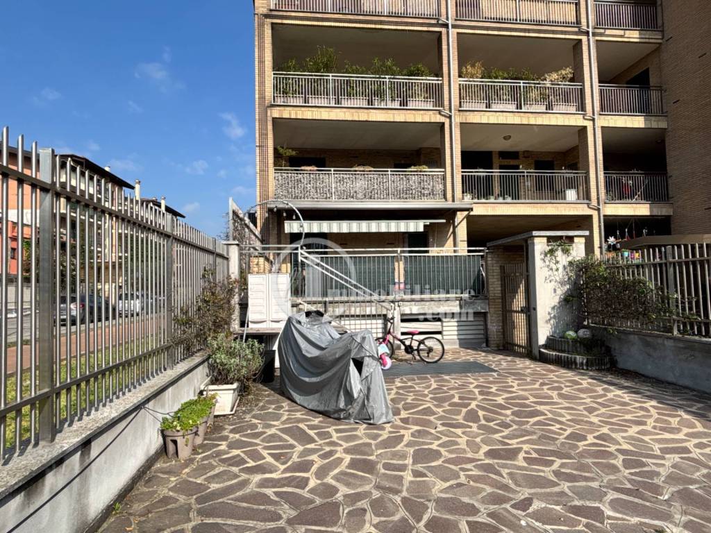 immagine annuncio 3 di 15