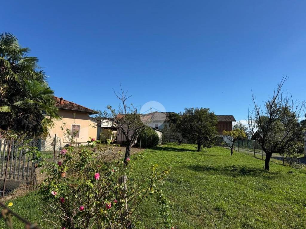 immagine annuncio 8 di 14