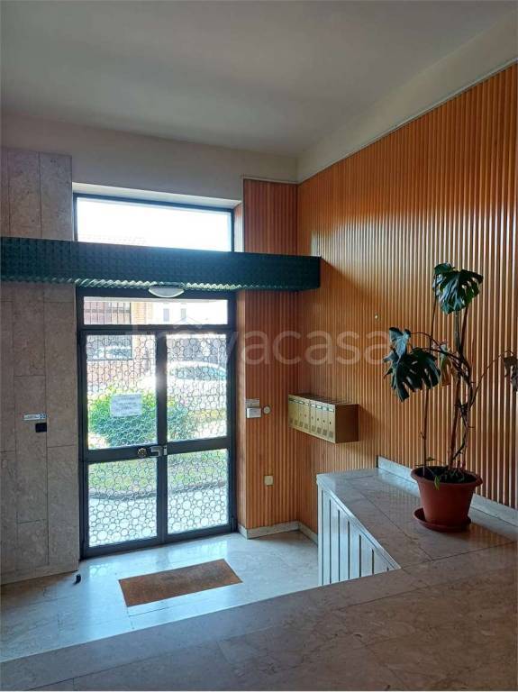 immagine annuncio 2 di 14