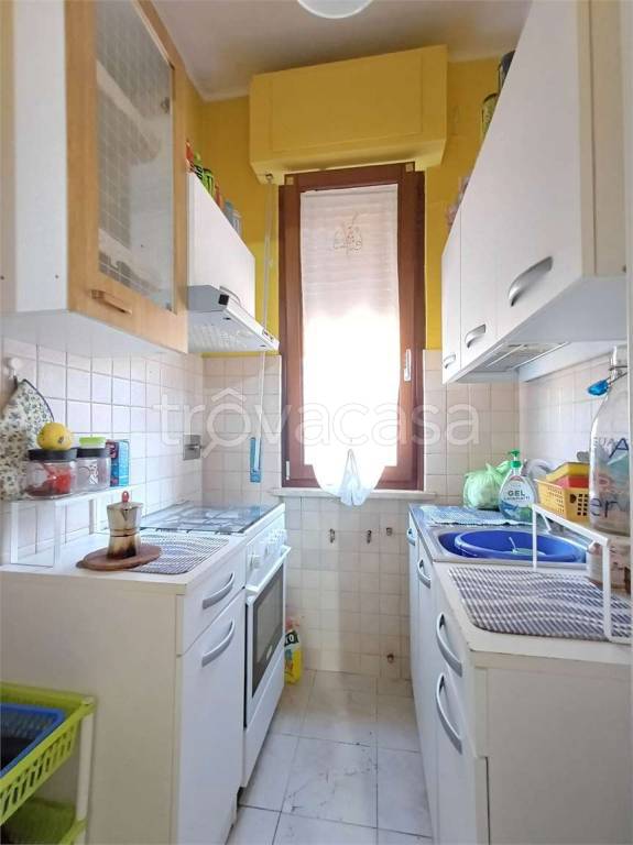 immagine annuncio 7 di 14