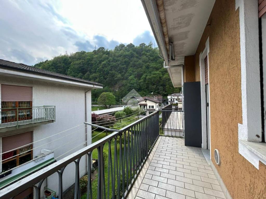 immagine annuncio 12 di 14