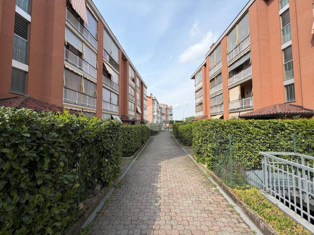 immagine annuncio 1 di 15