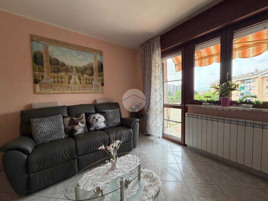 immagine annuncio 8 di 15