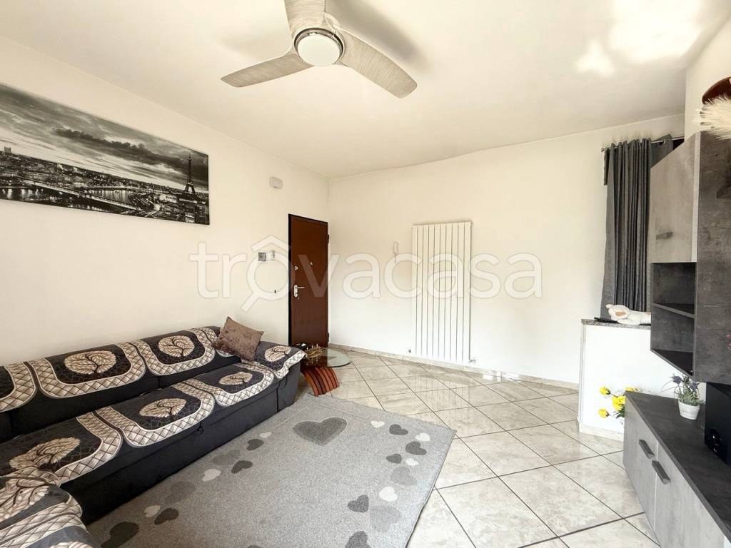 immagine annuncio 2 di 12