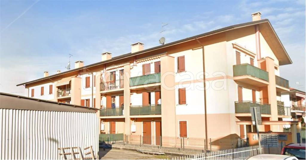 immagine annuncio 5 di 15