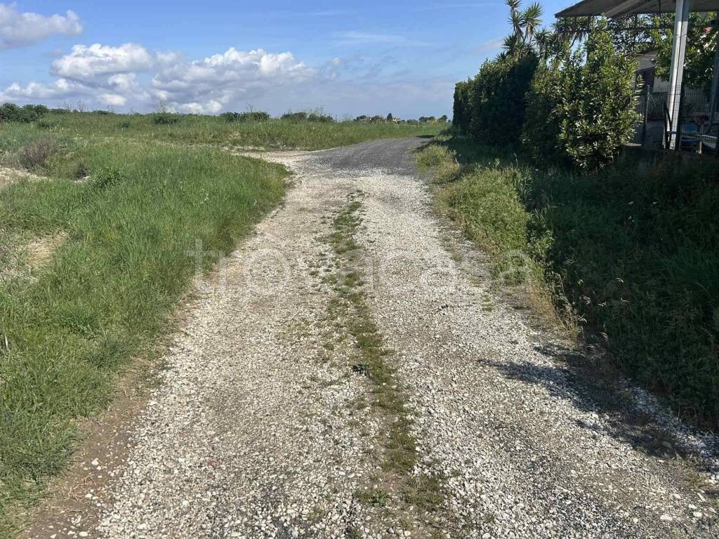 immagine annuncio 6 di 9