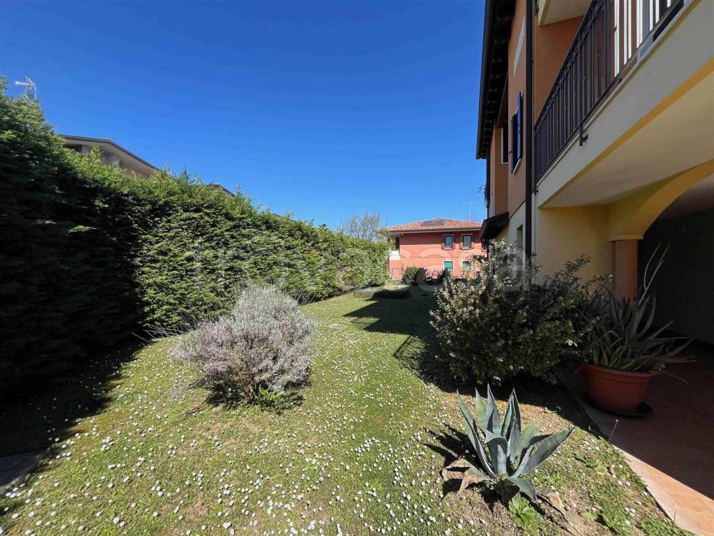 immagine annuncio 2 di 13