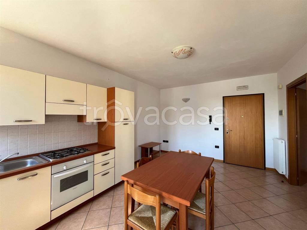 immagine annuncio 4 di 13