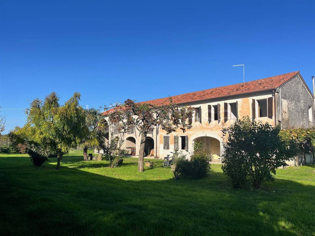 immagine annuncio 1 di 11