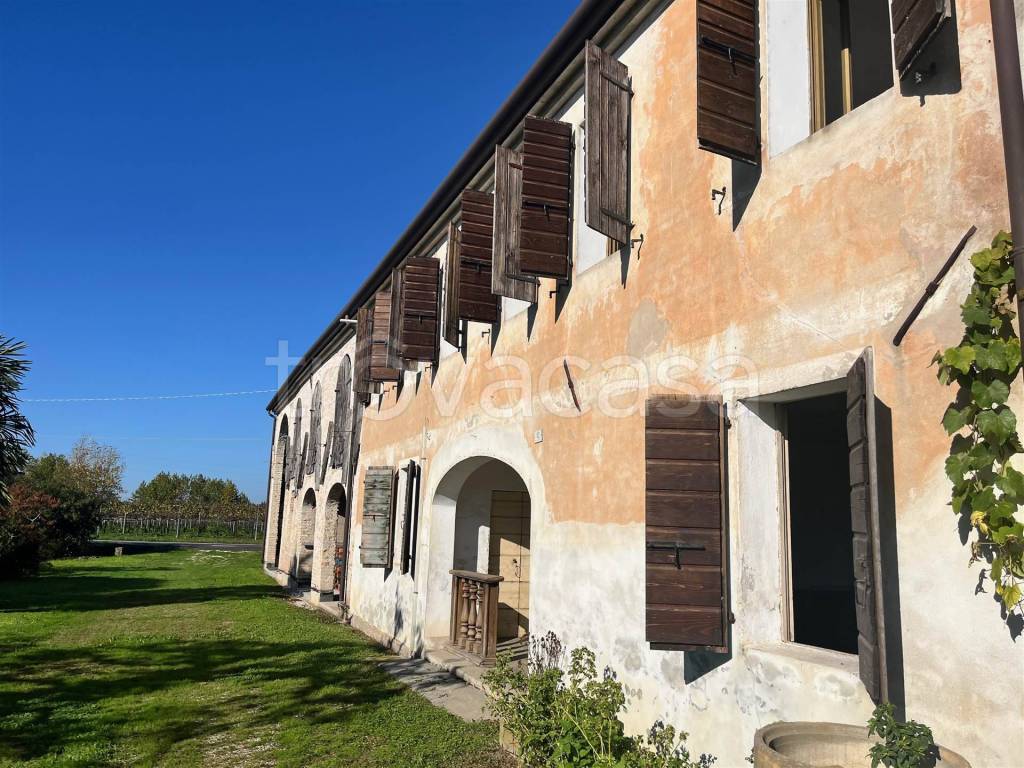 immagine annuncio 2 di 11