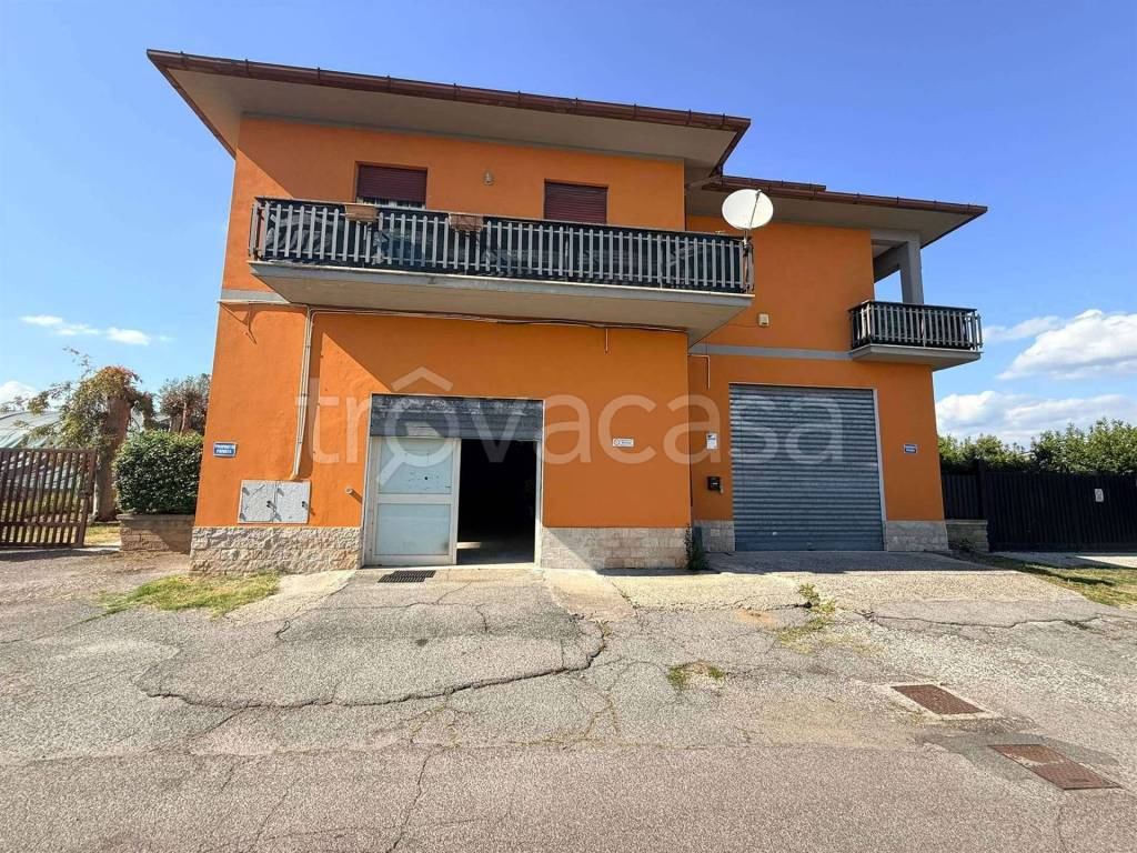 immagine annuncio 1 di 13