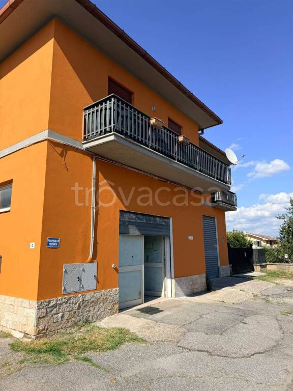 immagine annuncio 12 di 13