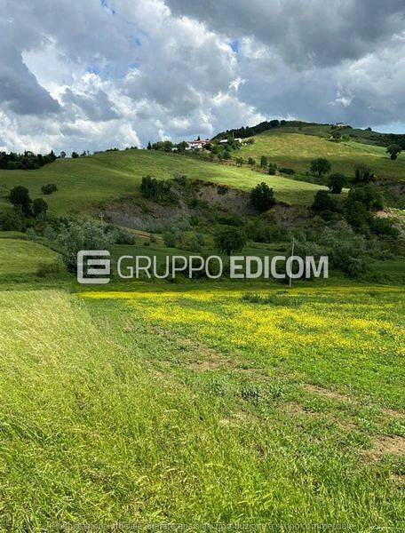 immagine annuncio 4 di 9
