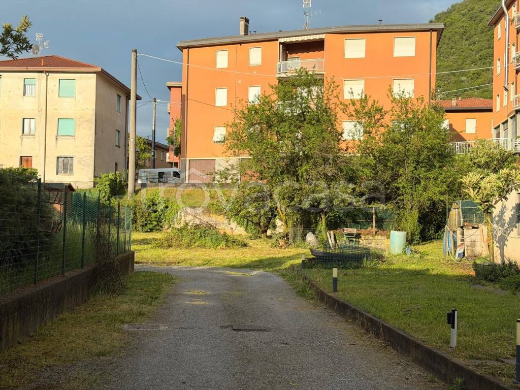 immagine annuncio 6 di 8