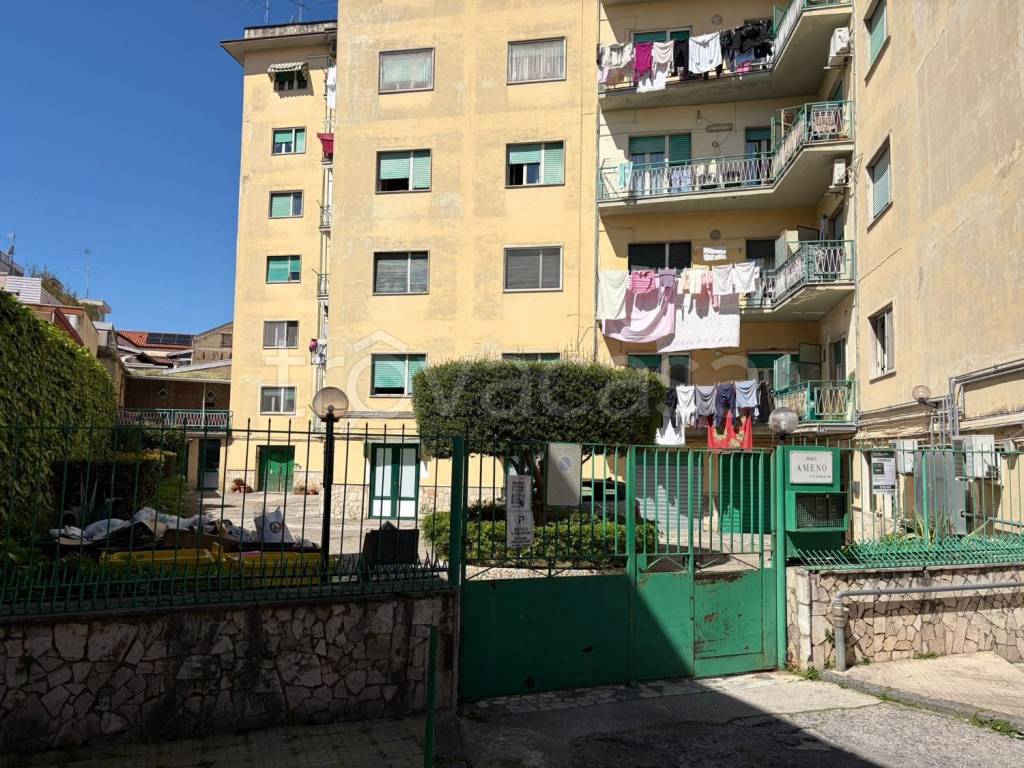 immagine annuncio 11 di 12