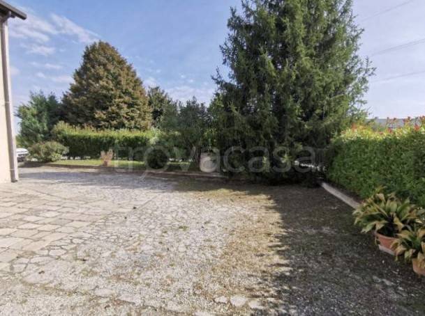 immagine annuncio 2 di 14