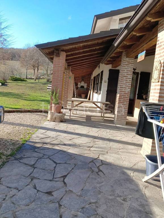 immagine annuncio 3 di 14