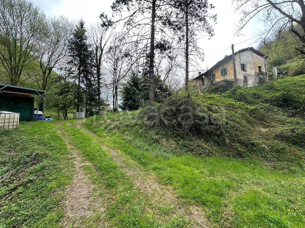 immagine annuncio 4 di 7