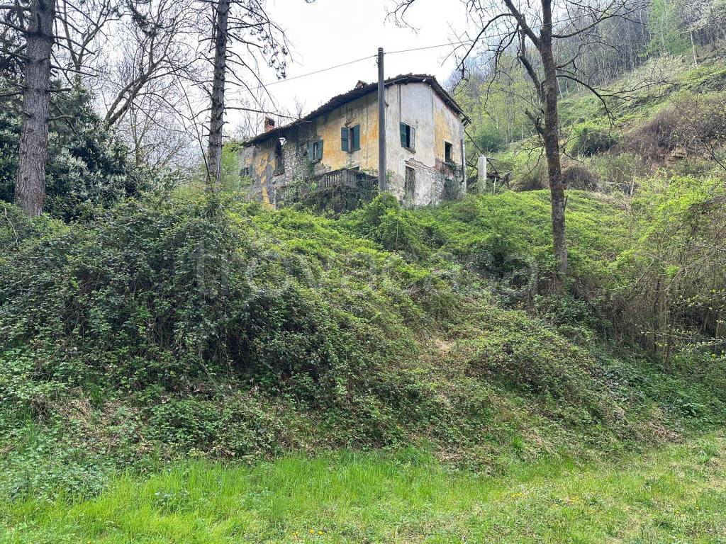 immagine annuncio 3 di 7