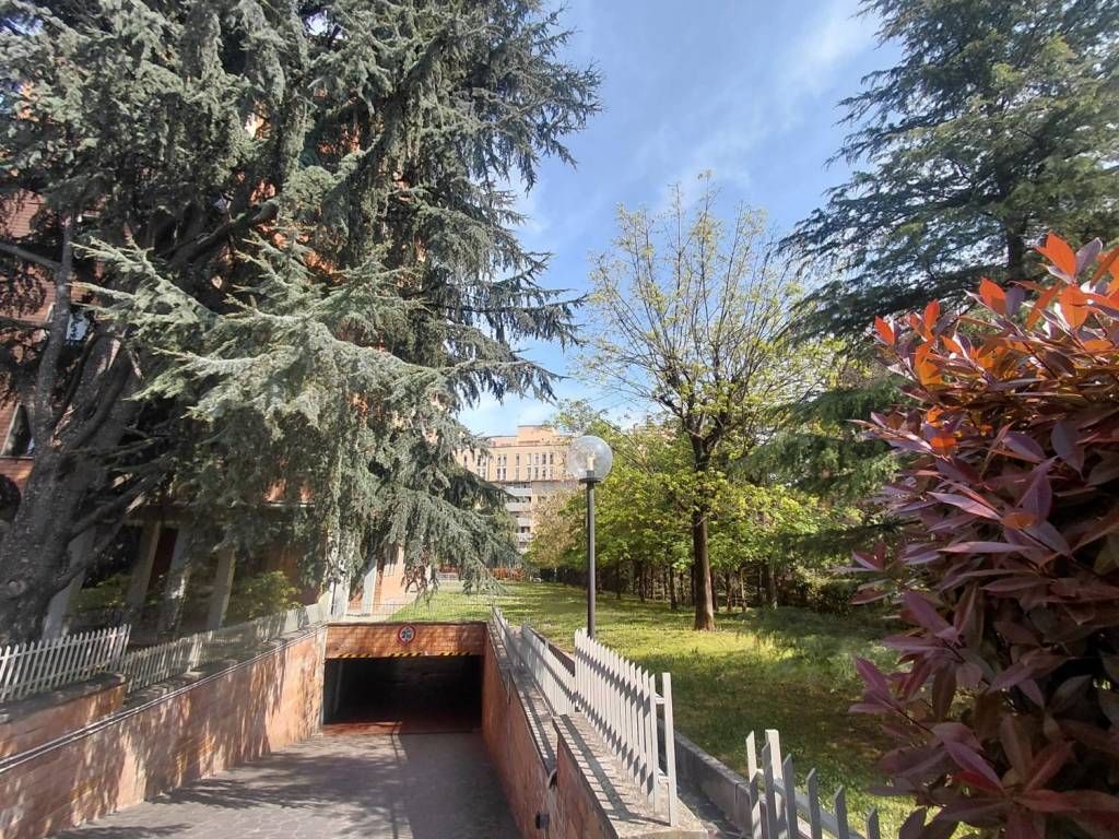 immagine annuncio 10 di 12