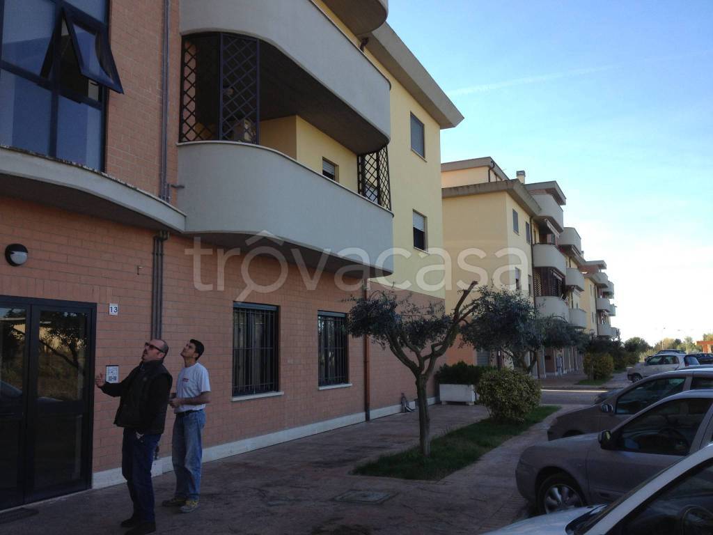 immagine annuncio 3 di 13