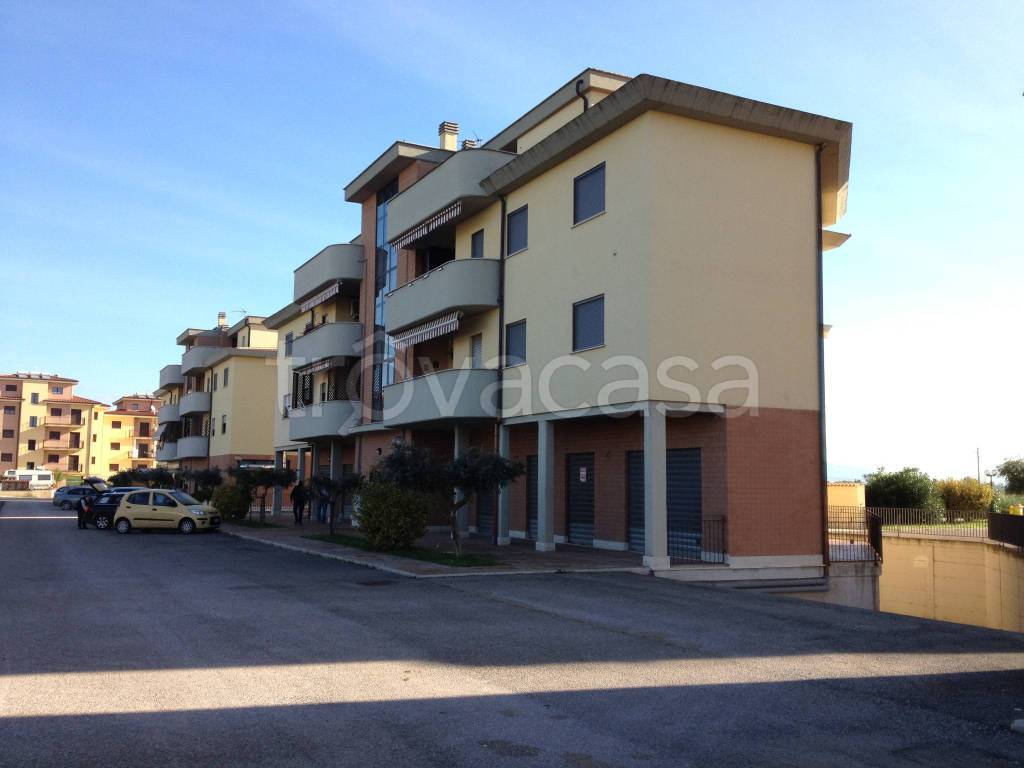 immagine annuncio 4 di 13