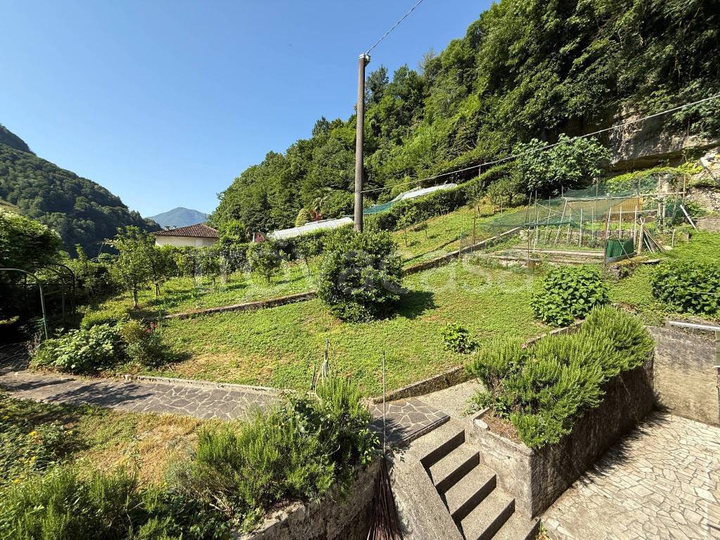 immagine annuncio 7 di 8