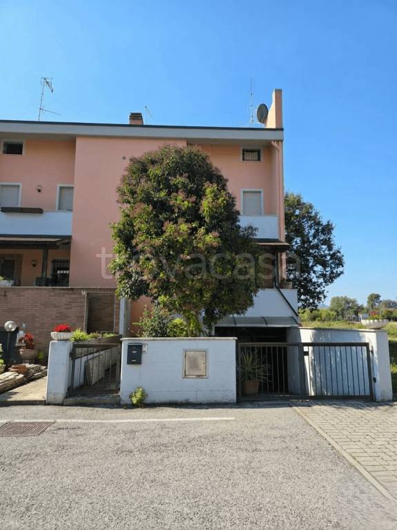immagine annuncio 3 di 13