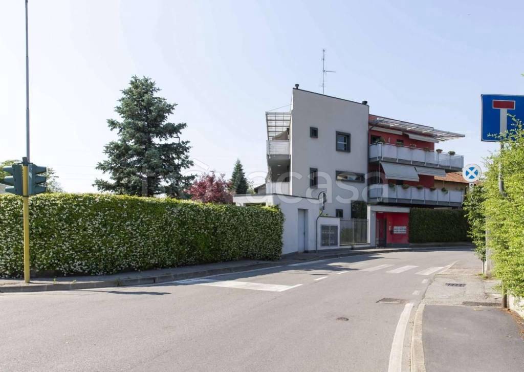 immagine annuncio 12 di 15