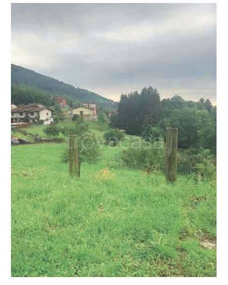 immagine annuncio 3 di 6