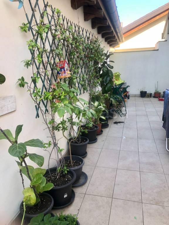 immagine annuncio 1 di 4